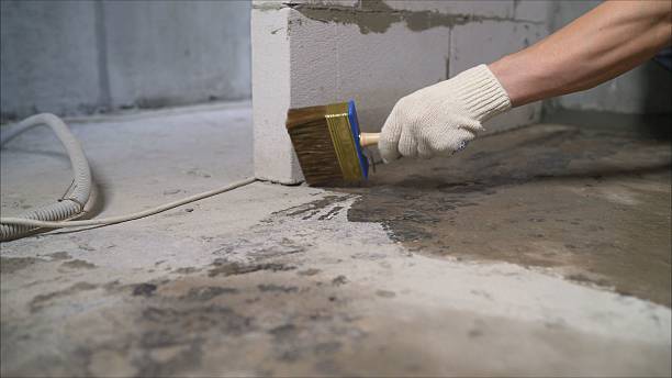 SJ Waterproofing Pros Waterproofing coverage map for Saint Paul, IN and surrounding area
